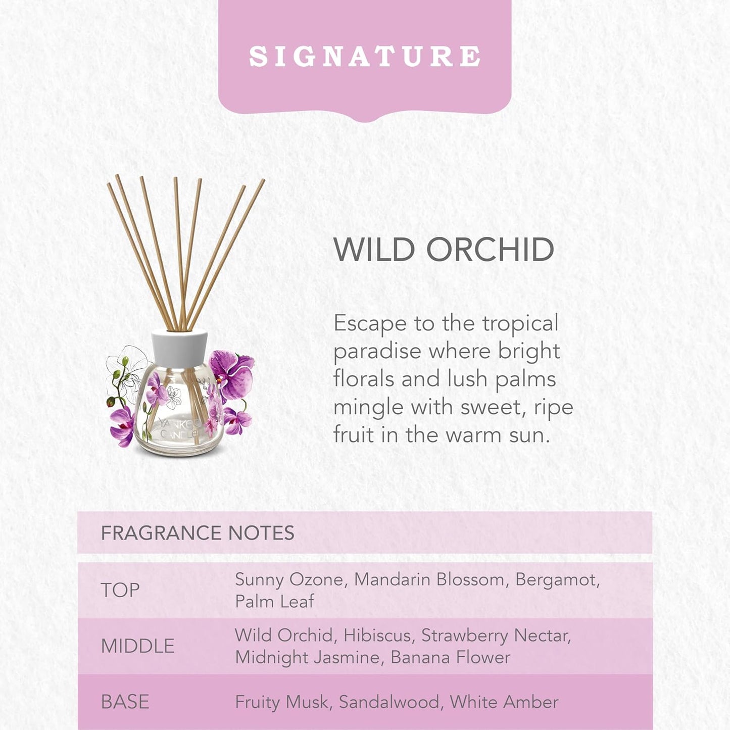 Wild Orchid