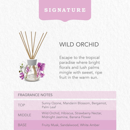 Wild Orchid