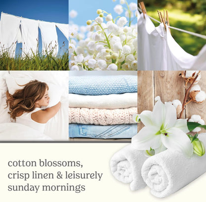 Clean Cotton