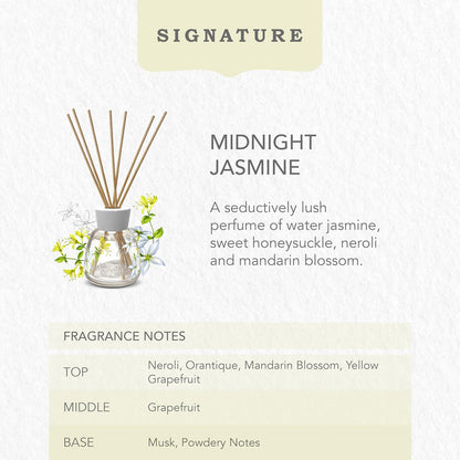 Midnight Jasmine